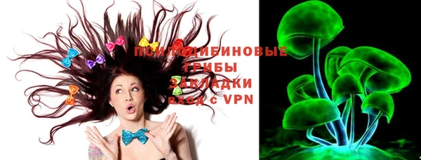 мяу мяу кристалл Няндома
