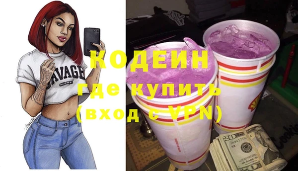 мдпв Осташков