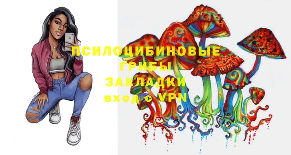 мдпв Осташков