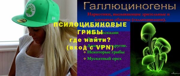 мяу мяу кристалл Няндома